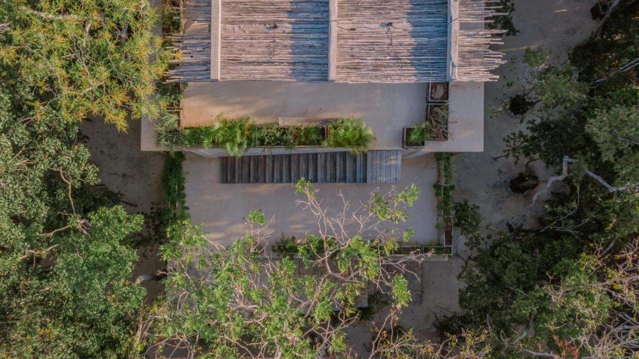 Naum - Secluded Villa With Private Cenote トゥルム エクステリア 写真