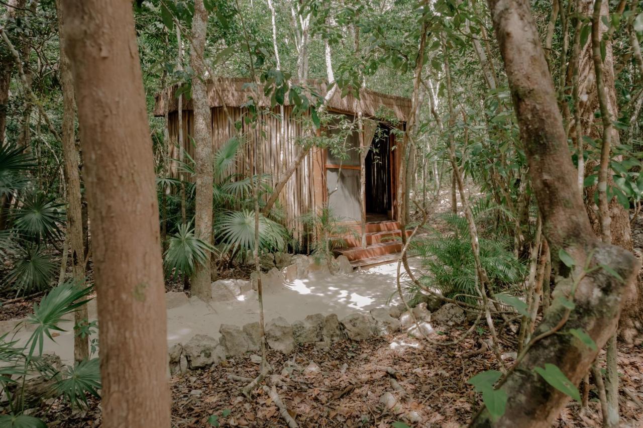 Naum - Secluded Villa With Private Cenote トゥルム エクステリア 写真