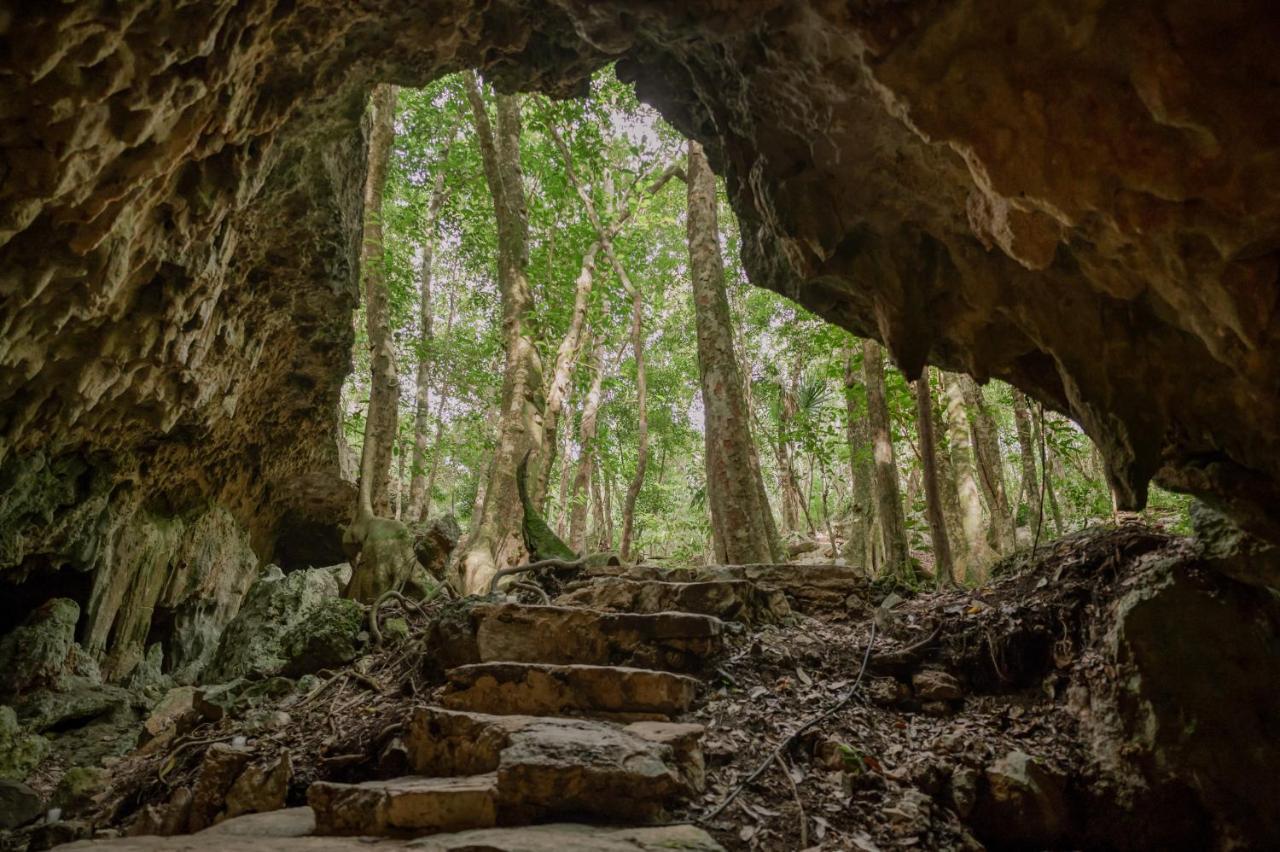 Naum - Secluded Villa With Private Cenote トゥルム エクステリア 写真