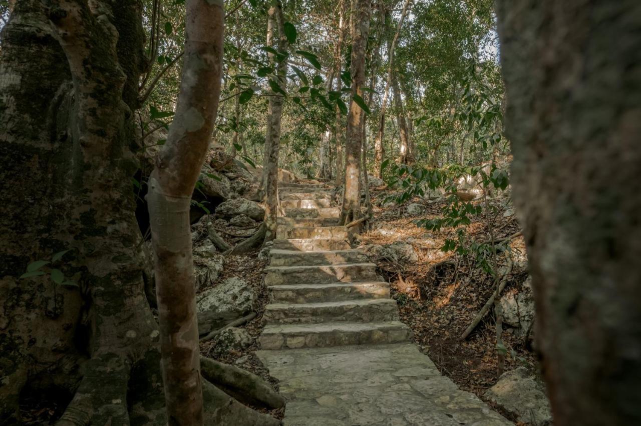 Naum - Secluded Villa With Private Cenote トゥルム エクステリア 写真