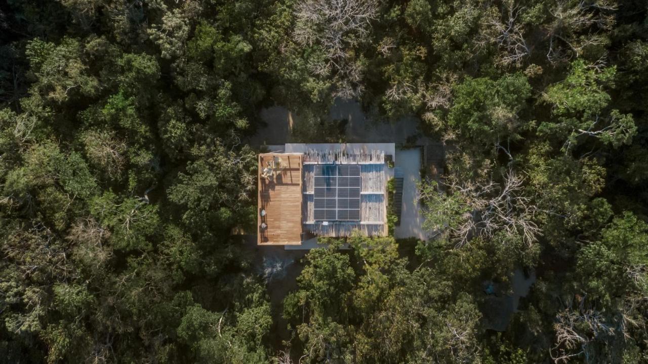 Naum - Secluded Villa With Private Cenote トゥルム エクステリア 写真
