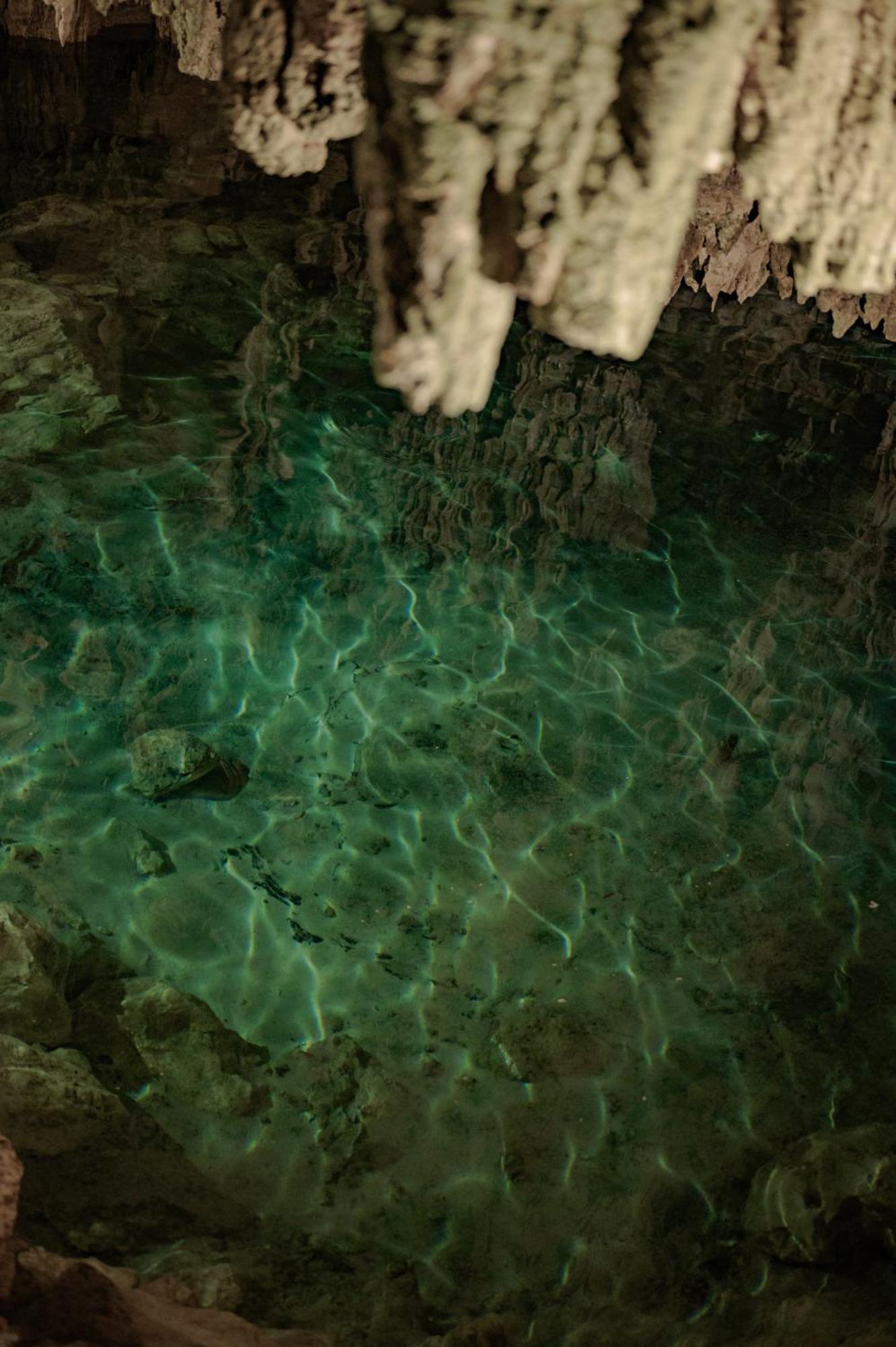 Naum - Secluded Villa With Private Cenote トゥルム エクステリア 写真