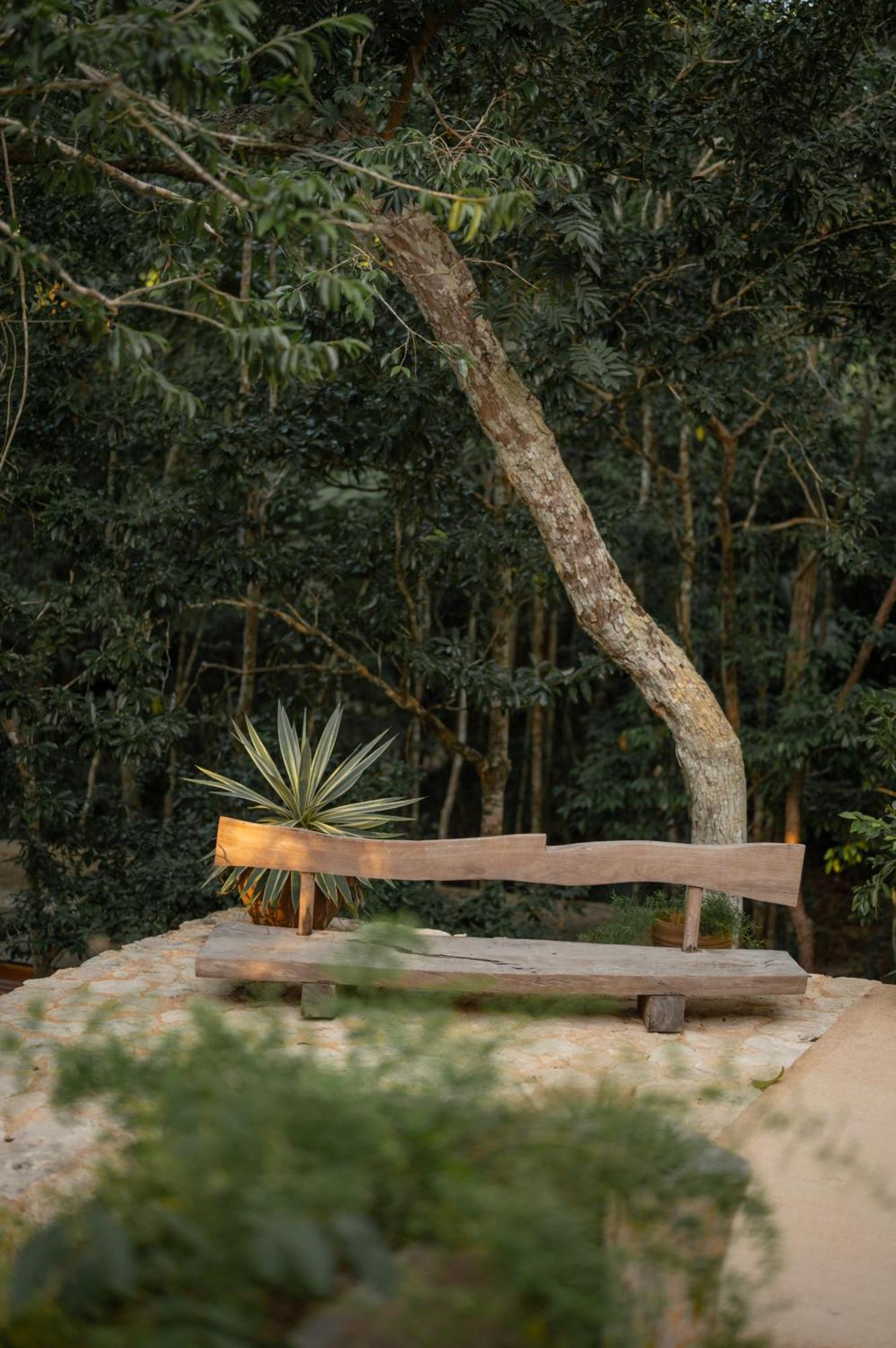 Naum - Secluded Villa With Private Cenote トゥルム エクステリア 写真